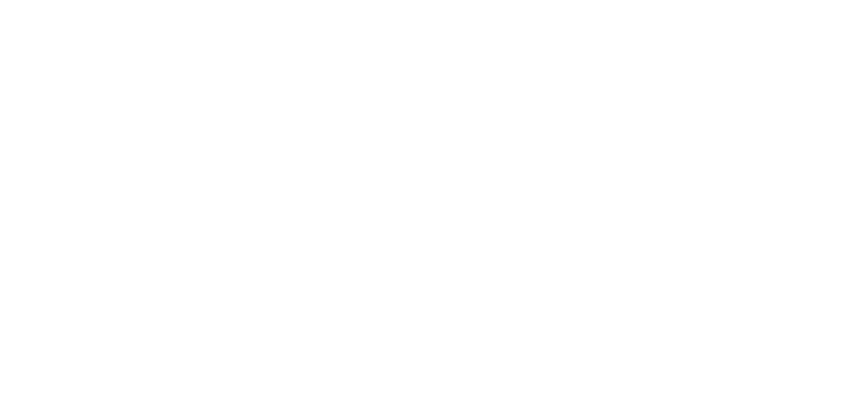 experts for Web